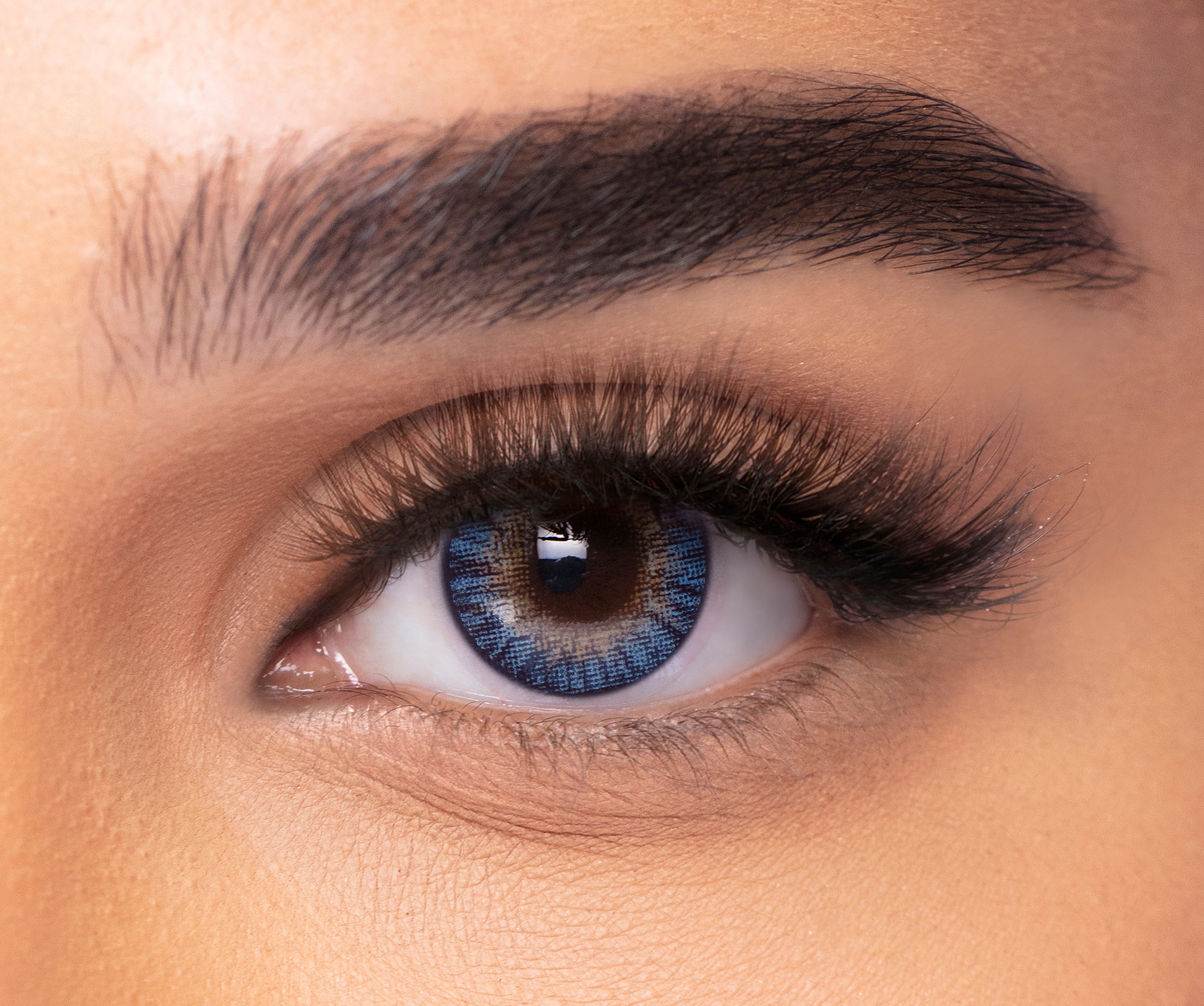 FRESHLOOK ONE DAY LENSES