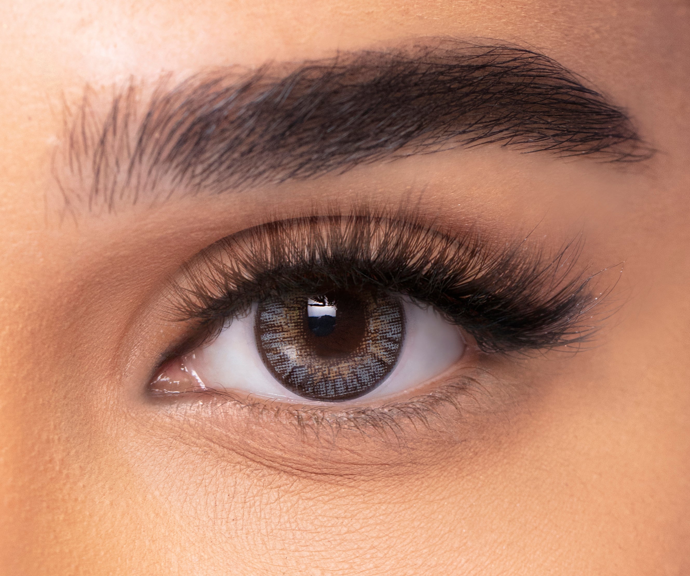 FRESHLOOK ONE DAY LENSES