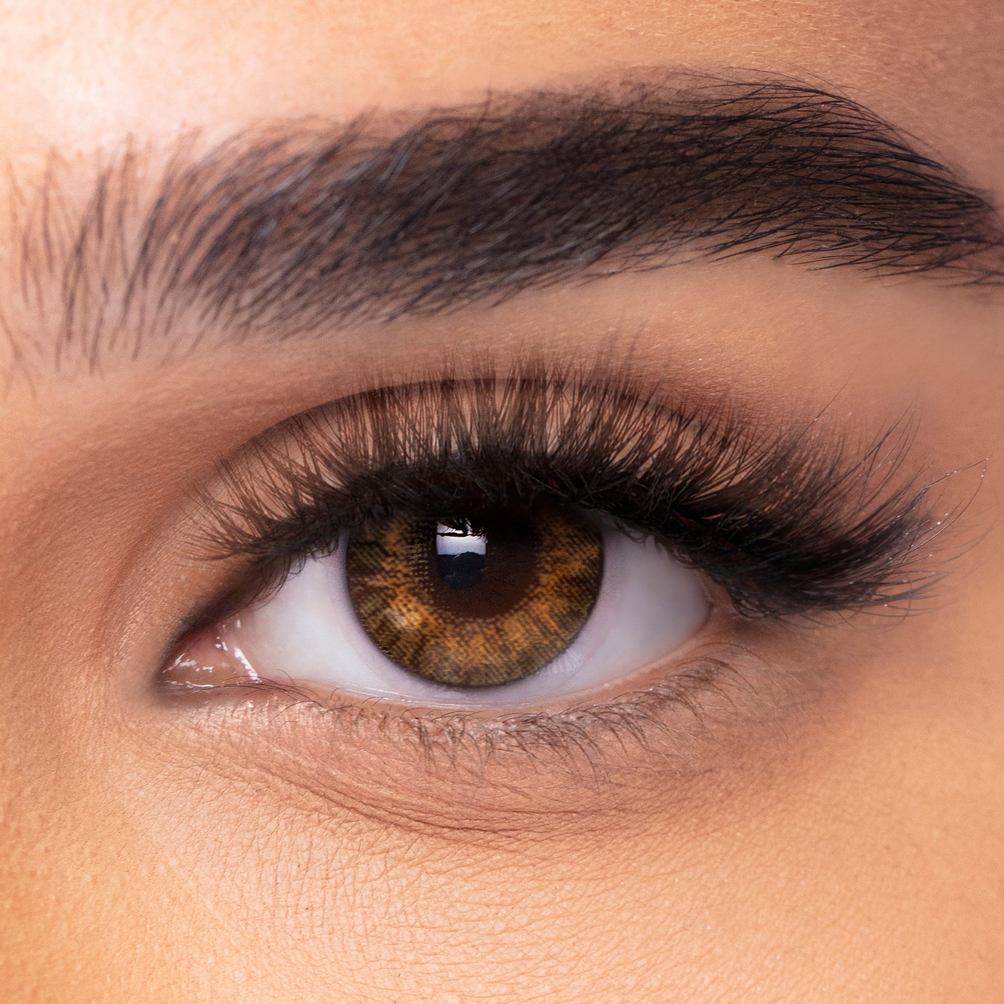 FRESHLOOK ONE DAY LENSES