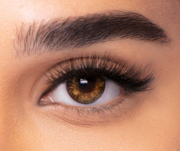 FRESHLOOK ONE DAY LENSES