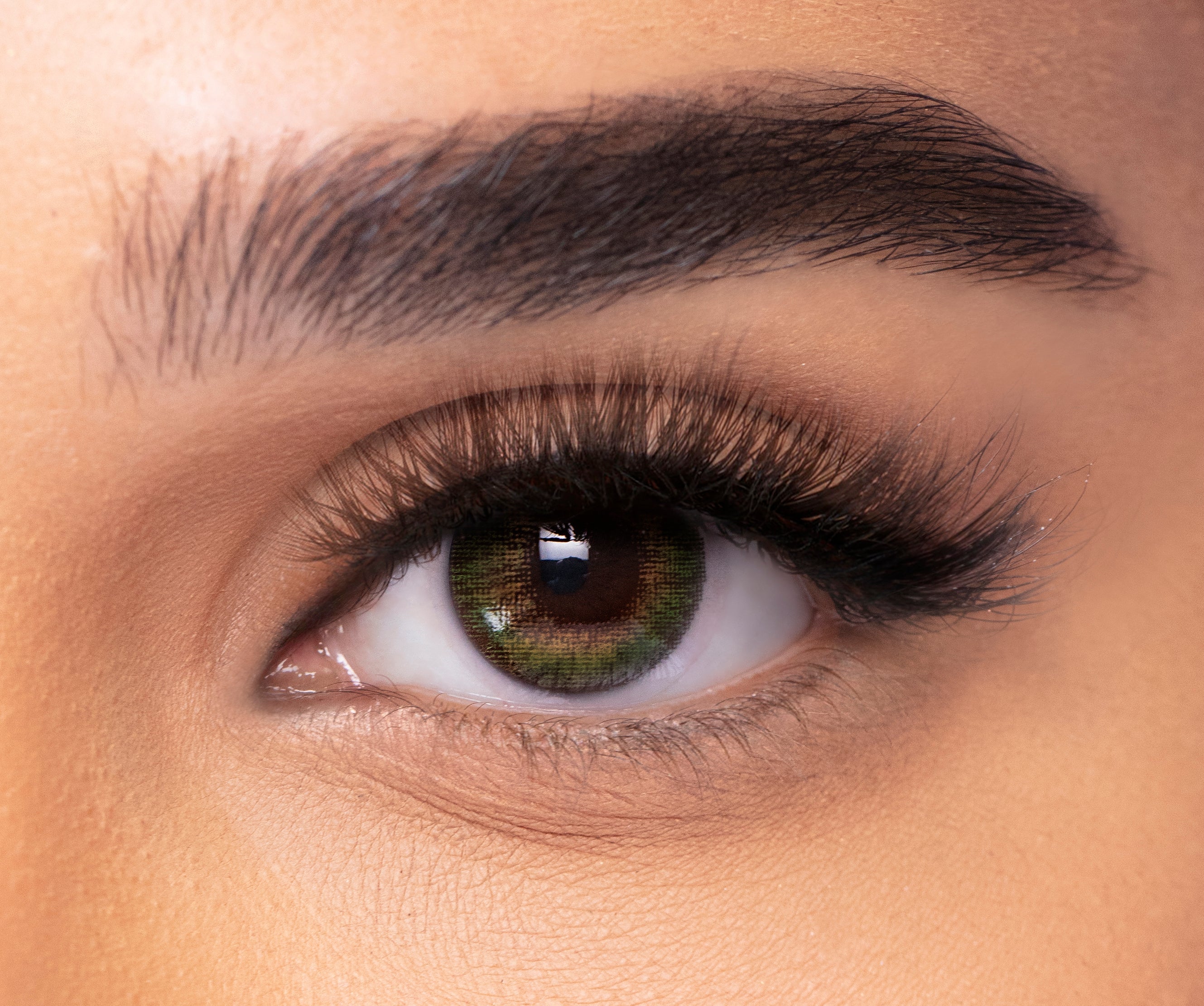 FRESHLOOK ONE DAY LENSES